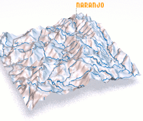 3d view of Naranjo