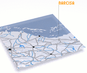 3d view of Narcisa