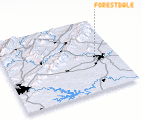 3d view of Forest Dale