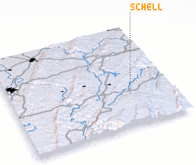 3d view of Schell