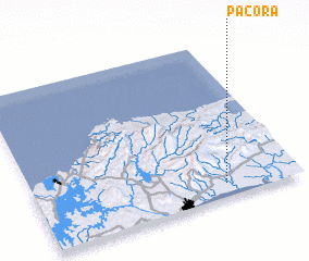 3d view of Pacora