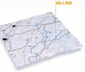 3d view of Wallman