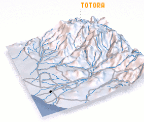 3d view of Totora