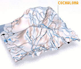 3d view of Cochaloma