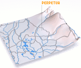 3d view of Perpetua