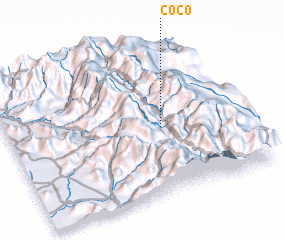 3d view of Coco