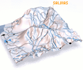 3d view of Salvias