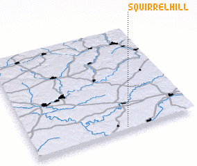 3d view of Squirrel Hill