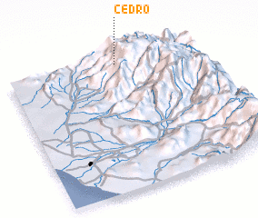3d view of Cedro