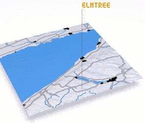 3d view of Elm Tree