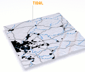 3d view of Tidal