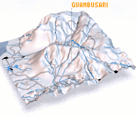 3d view of Guambusari