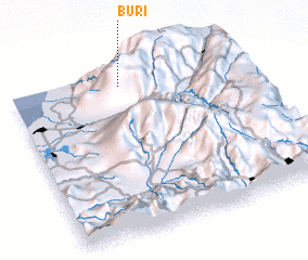 3d view of Buri