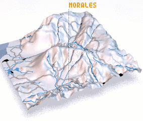 3d view of Morales