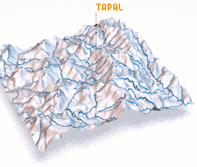 3d view of Tapal