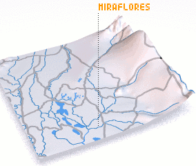 3d view of Miraflores