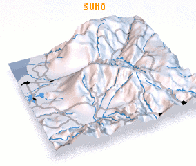 3d view of Sumo