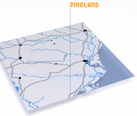 3d view of Pineland