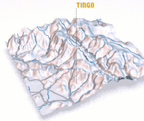 3d view of Tingo