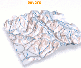 3d view of Payaca