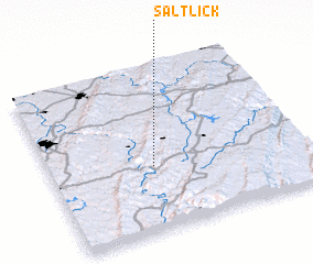 3d view of Salt Lick