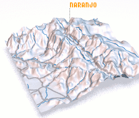 3d view of Naranjo