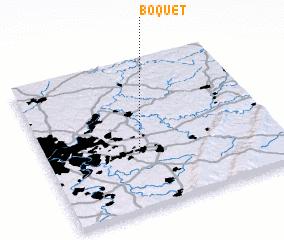 3d view of Boquet