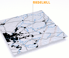 3d view of Miedel Hill