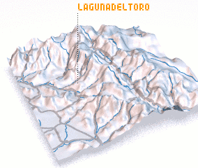 3d view of Laguna del Toro