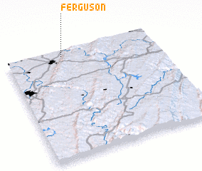 3d view of Ferguson