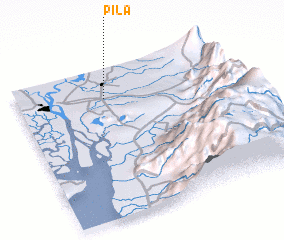 3d view of Pila