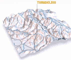 3d view of Toma del Río