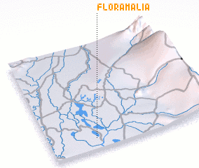 3d view of Flor Amalia