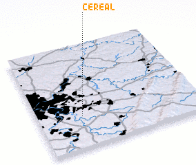 3d view of Cereal