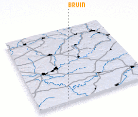 3d view of Bruin