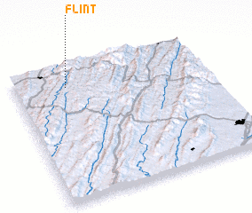 3d view of Flint
