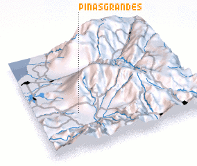 3d view of Piñas Grandes