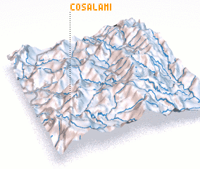 3d view of Cosalami