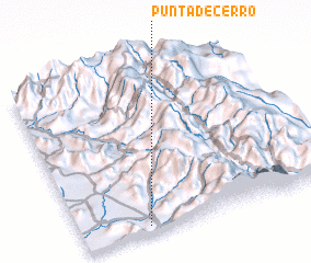 3d view of Punta de Cerro