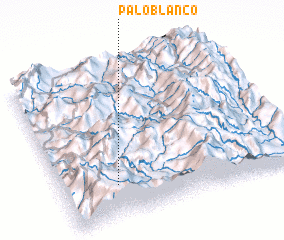 3d view of Palo Blanco