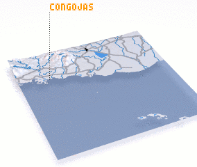 3d view of Congojas