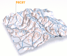 3d view of Pacay