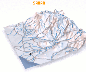 3d view of Samán