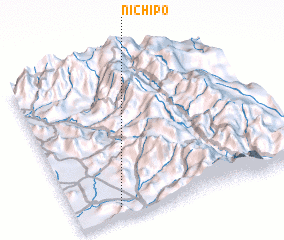 3d view of Nichipo