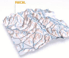 3d view of Paical