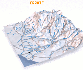 3d view of Capote
