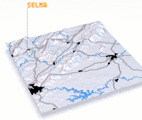 3d view of Selma