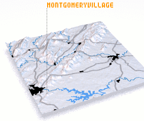 3d view of Montgomery Village