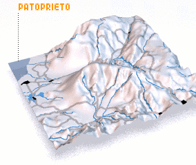 3d view of Pato Prieto