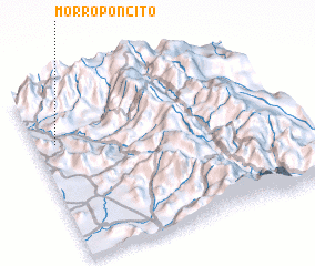 3d view of Morroponcito